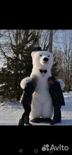 Аниматор, Ростовой Белый мишка поздравление