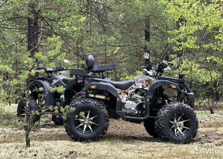 Тайванские квадроциклы promax 320 dominator 2023