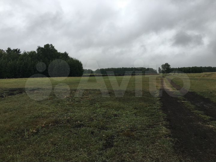 Участок 4,5 га (СНТ, ДНП)