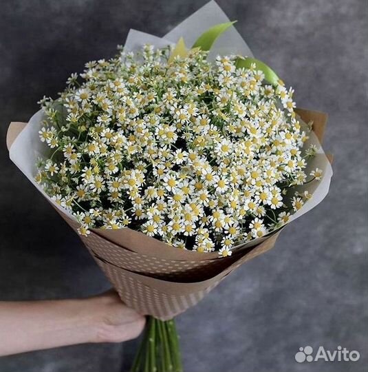 Ромашки букет