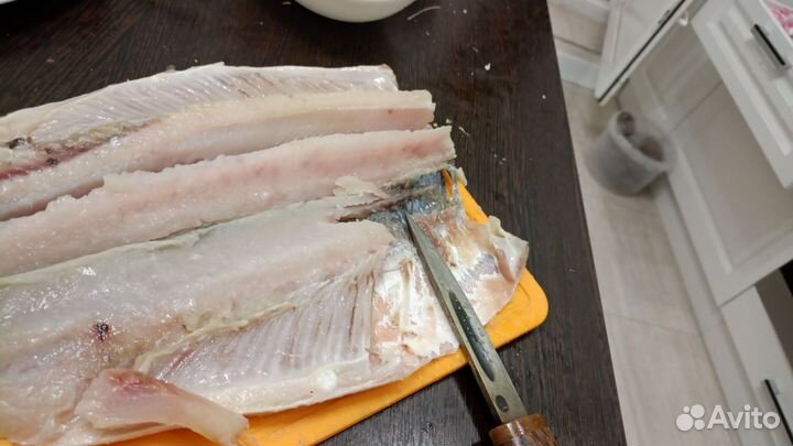 Рыба северная