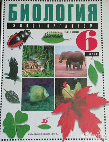 Учебник по биологии 6 класс