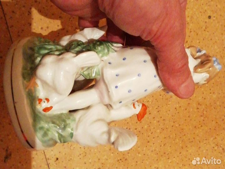 Девочка с курами