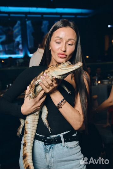 Фото и видеосъемка