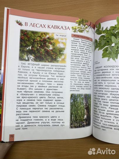 Красная книга россии