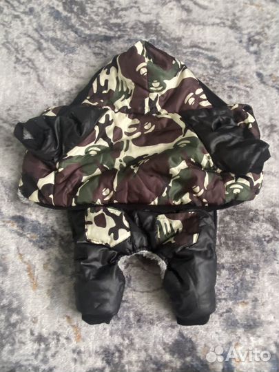 Одежда для собак