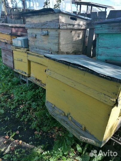 Продам ульи для пчел, Тамбов