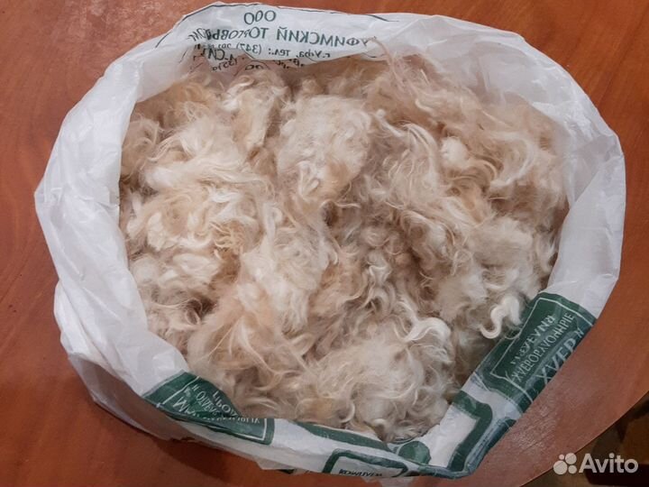 Собачья шерсть фокстерьера