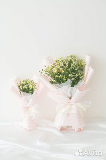 Ромашки для семейных торжеств