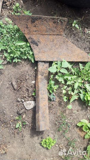 Предплужник