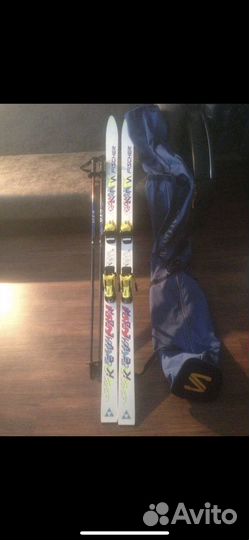 Горные лыжи