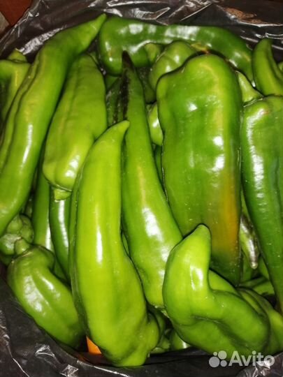 Перец болгарский