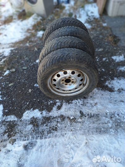 Nordman 5 175/65 R14