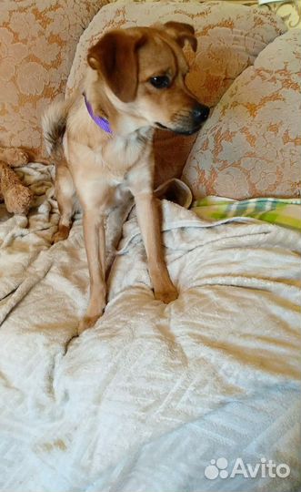 Мелкий паренек очень ласковый