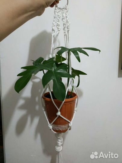 Горшки,кашпо,ваза