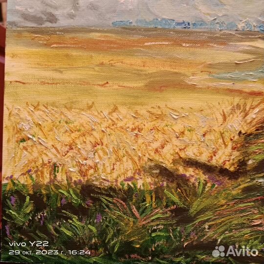 Картины на заказ степь