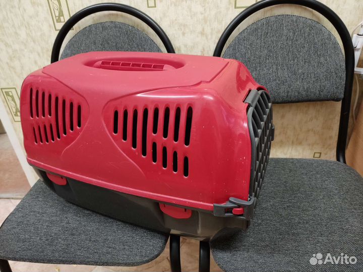 Переноска в аренду