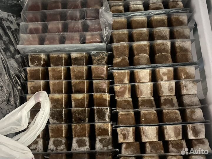 Корма Заморозка для аквариумных рыбок