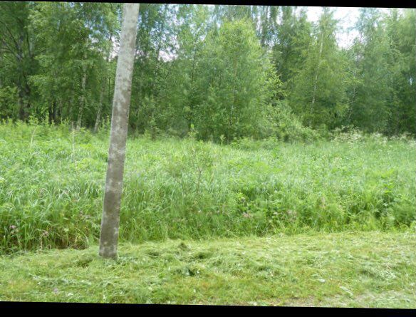 Участок 15 сот. (СНТ, ДНП)