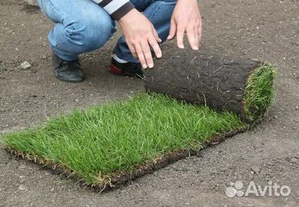 Гидропосев