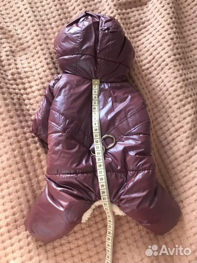 Комбинезон для собаки