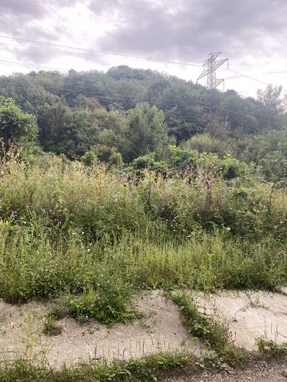 Участок 6 сот. (ИЖС)