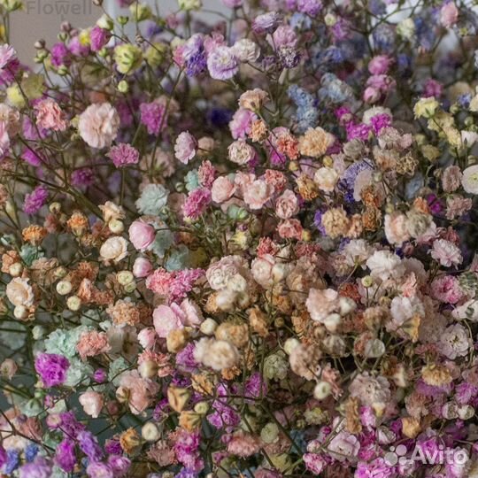 Монобукет из гипсофилы