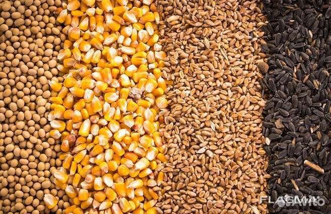 Комбикорм для животных