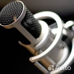 Микрофон Brauner Phanthera