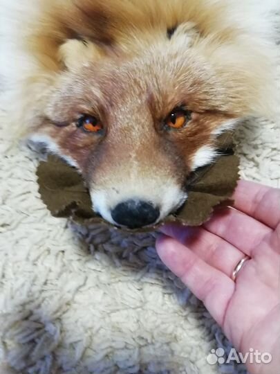 Ковер лисица