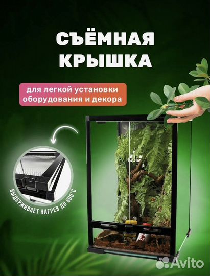 Террариум