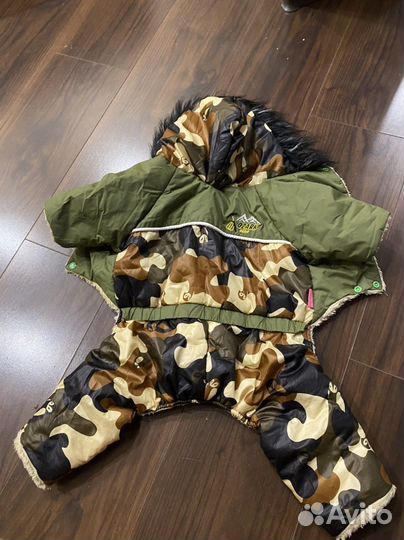 Одежда для собак