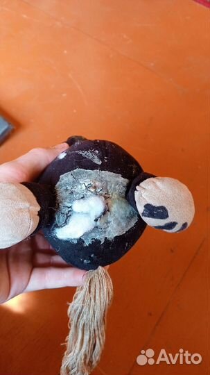 Черная кобыла