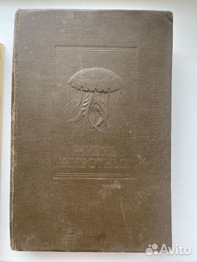 Жизнь животных по А.Э.Брему 1 том