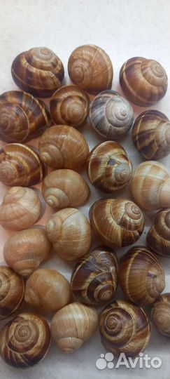 Декор, поделки