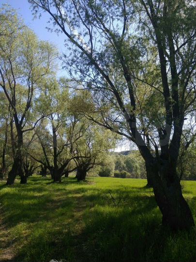 Участок 15 сот. (ИЖС)