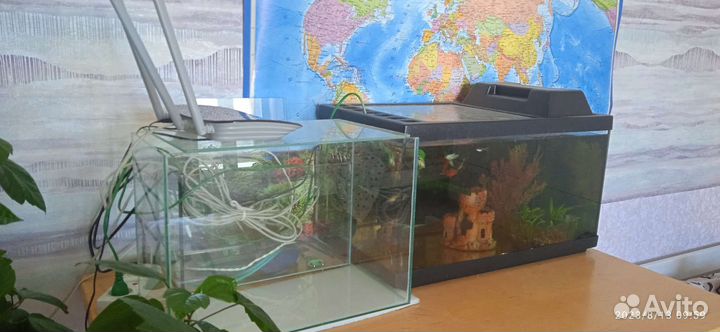 Аквариум