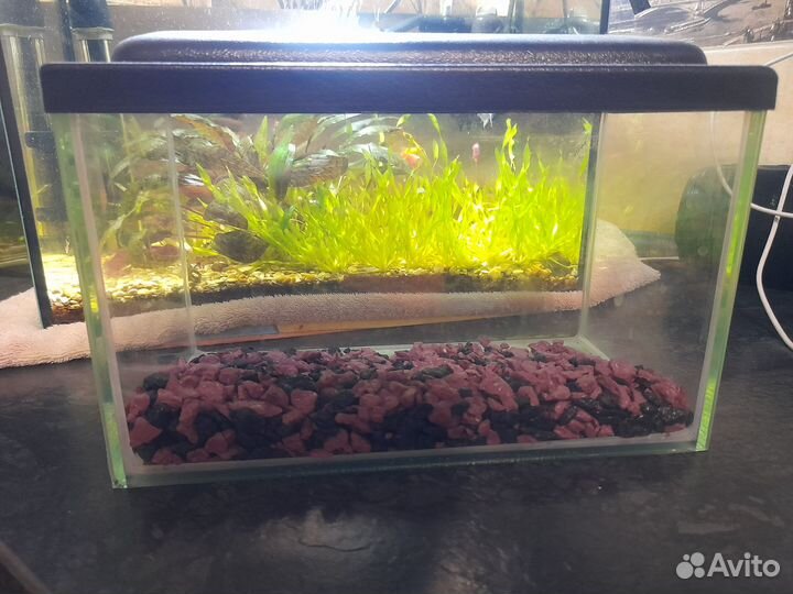 Продам аквариум с рыбками