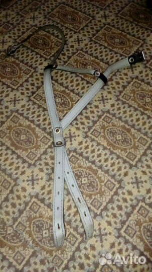 Шлейка для собак