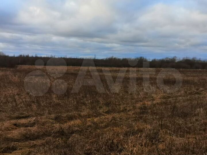 Участок 3,9 га (СНТ, ДНП)