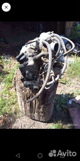 Голова 2110 взборе