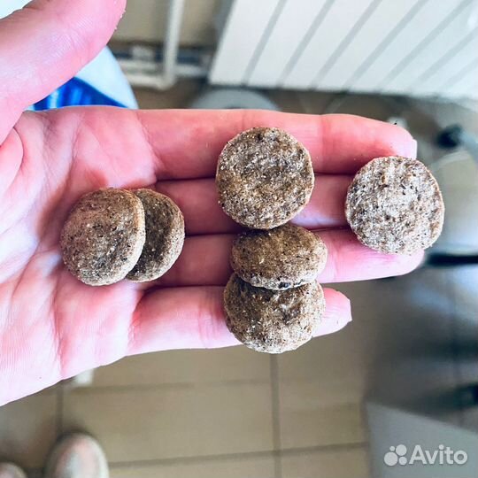 Сухой корм д/с и кошек 