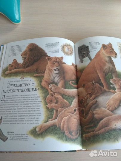 Энциклопедия 