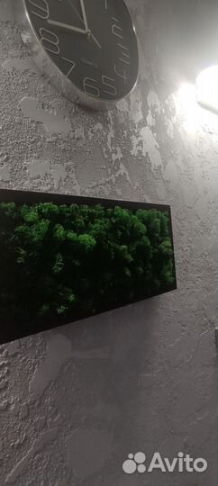 Картина из стабилизированного мха