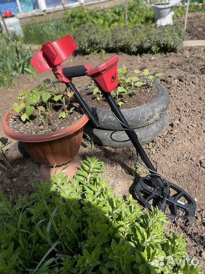 Металлоискатель minelab vanquish 340