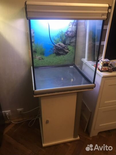 Аквариум/террариум