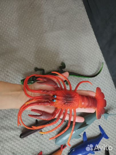 Набор насекомых и подводных обитателей