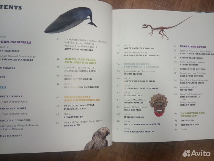 American Museum of Natural History