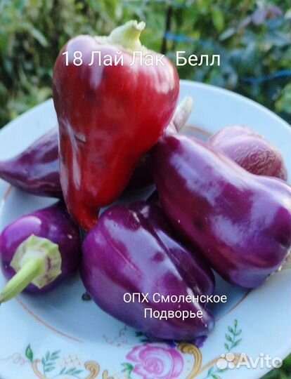 Семена сладкого перца