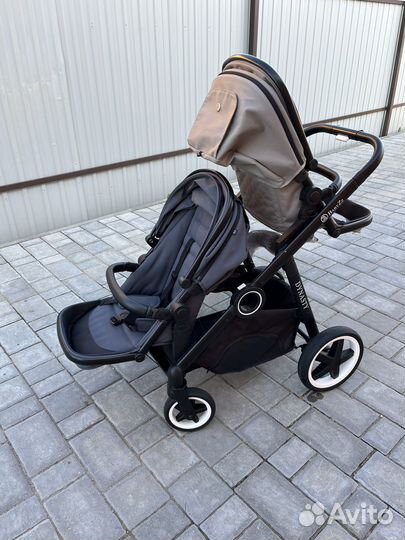 Коляска babyzz dynasty